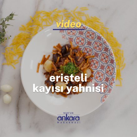 Tabağın içindeki erişteli kayısı yahnisi